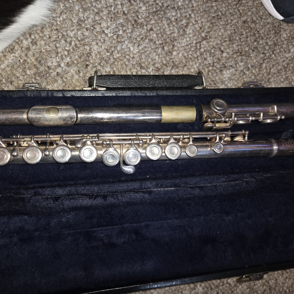 Elegant Silver Flute with Case